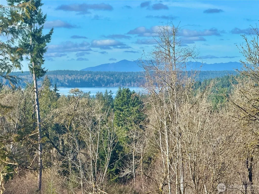 4319 183rd Avenue Ct SW Longbranch WA 98351