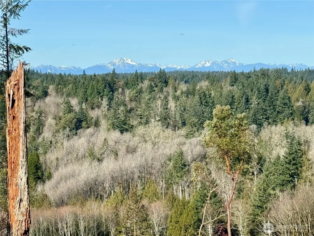 4319 183rd Avenue Ct SW Longbranch WA 98351