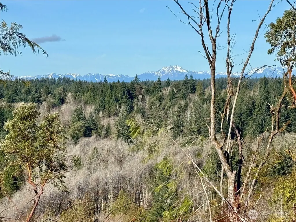 4319 183rd Avenue Ct SW Longbranch WA 98351