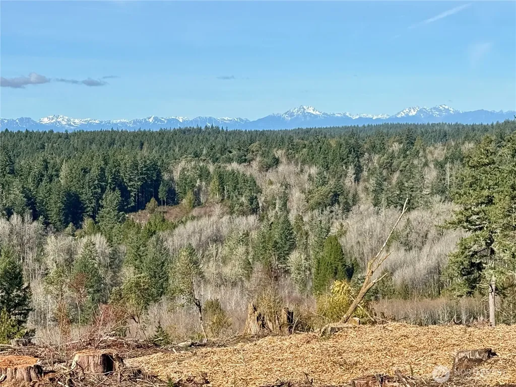 4319 183rd Avenue Ct SW Longbranch WA 98351