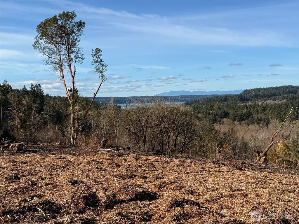 4319 183rd Avenue Ct SW Longbranch WA 98351