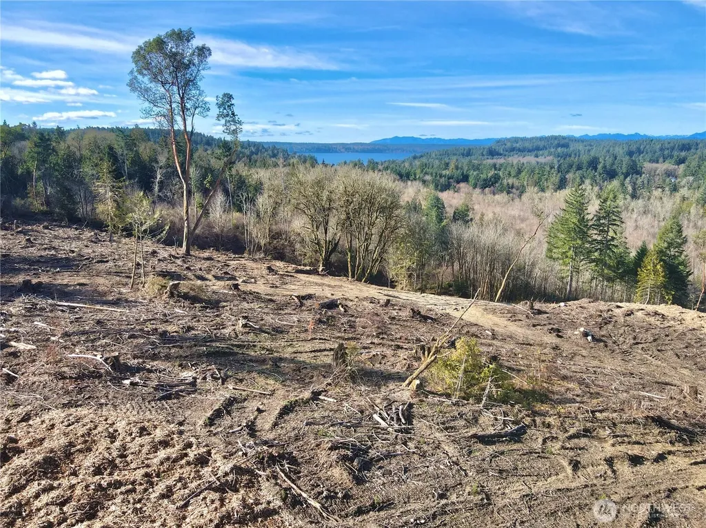 4319 183rd Avenue Ct SW Longbranch WA 98351