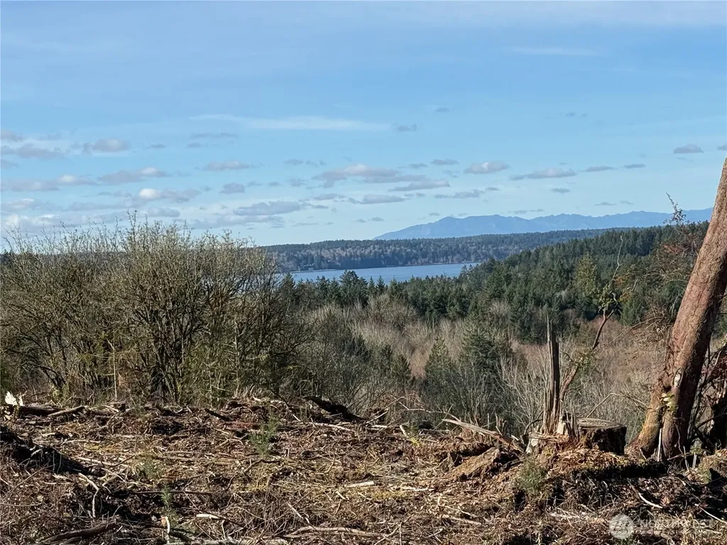 4319 183rd Avenue Ct SW Longbranch WA 98351