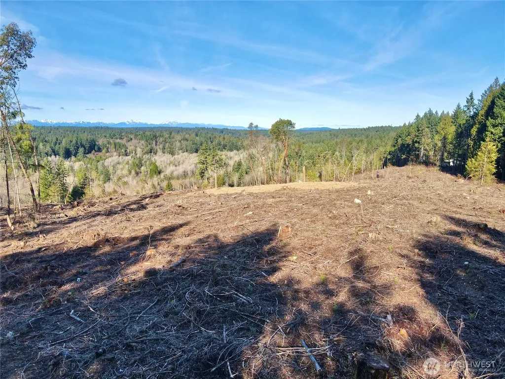 4319 183rd Avenue Ct SW Longbranch WA 98351