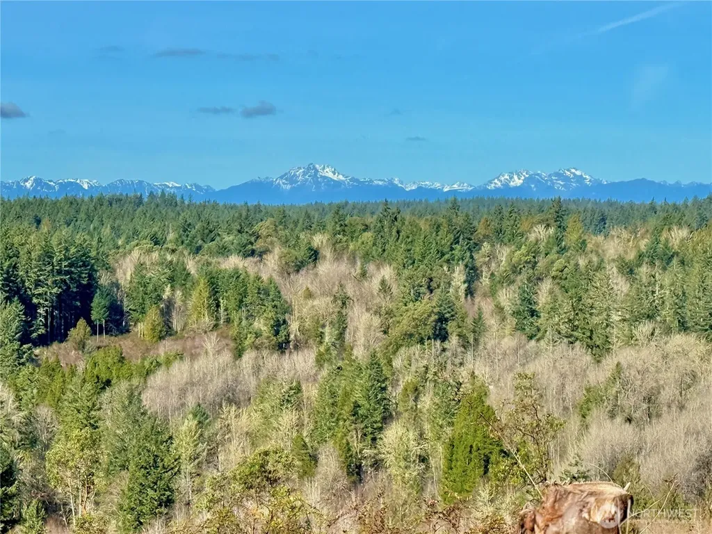 4319 183rd Avenue Ct SW Longbranch WA 98351