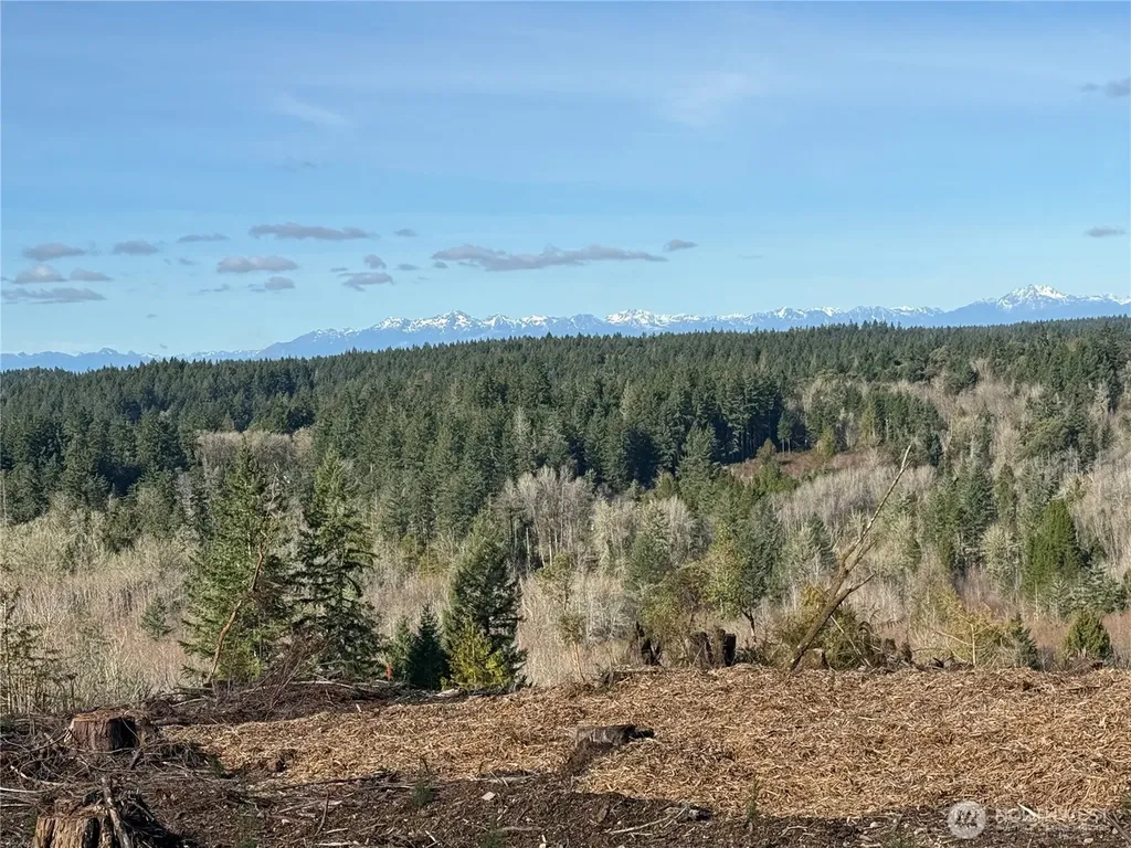 4319 183rd Avenue Ct SW Longbranch WA 98351