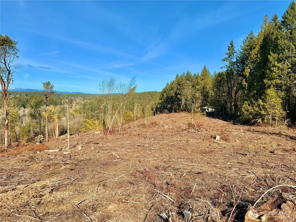 4319 183rd Avenue Ct SW Longbranch WA 98351
