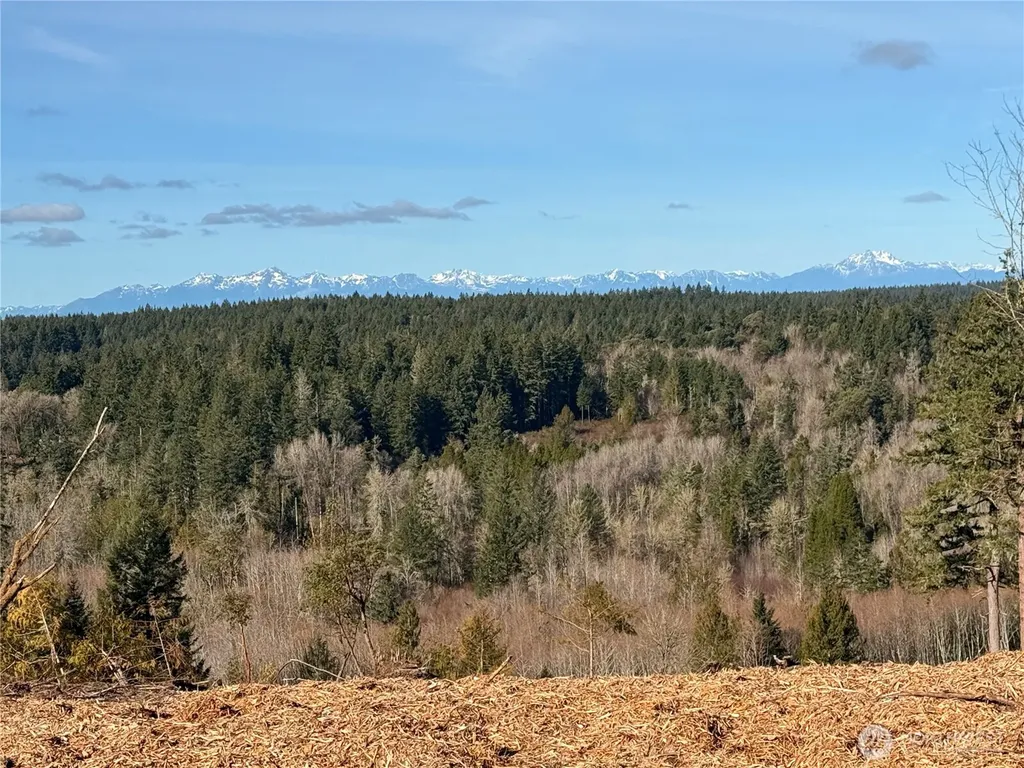 4319 183rd Avenue Ct SW Longbranch WA 98351