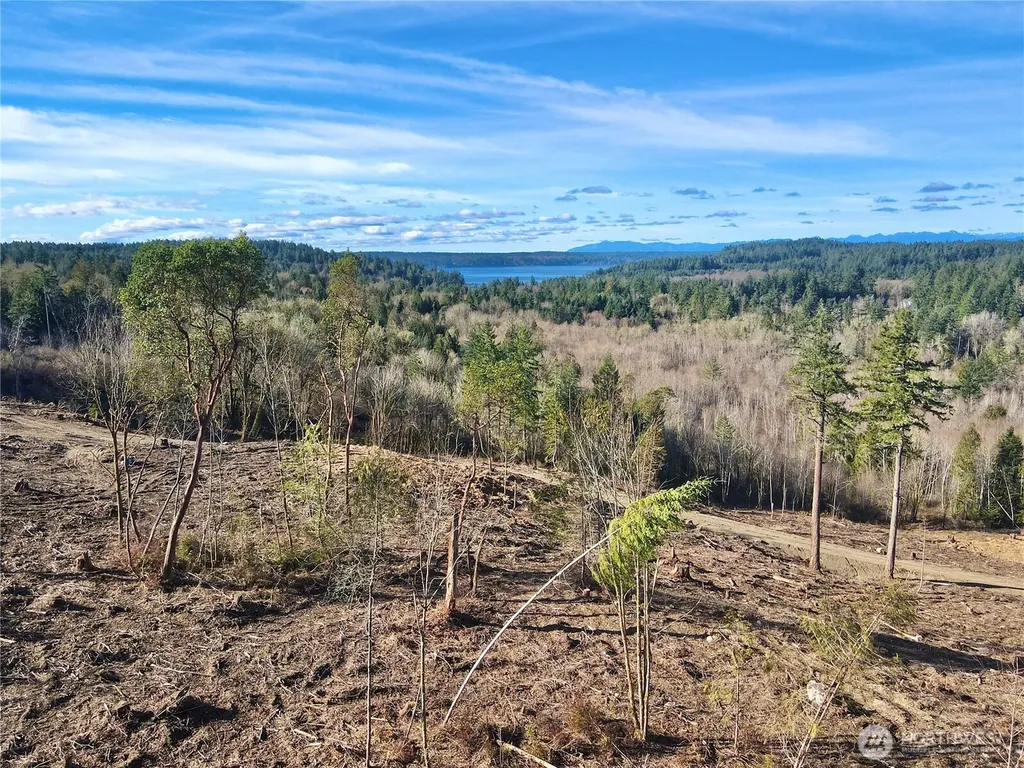 4319 183rd Avenue Ct SW Longbranch WA 98351
