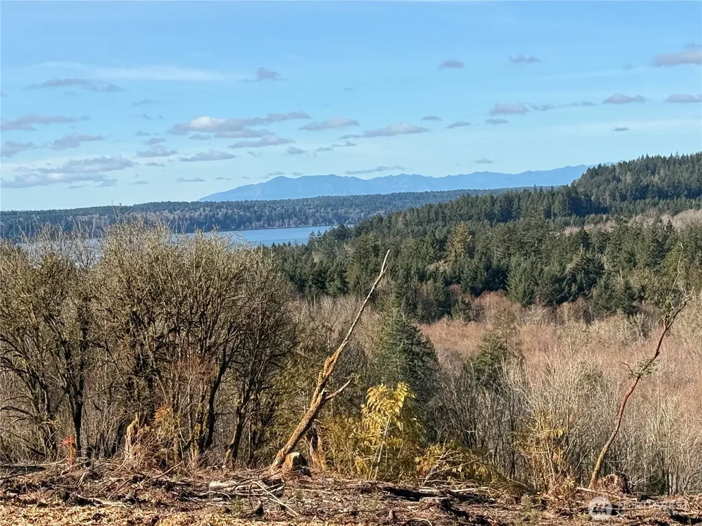 4319 183rd Avenue Ct SW Longbranch WA 98351