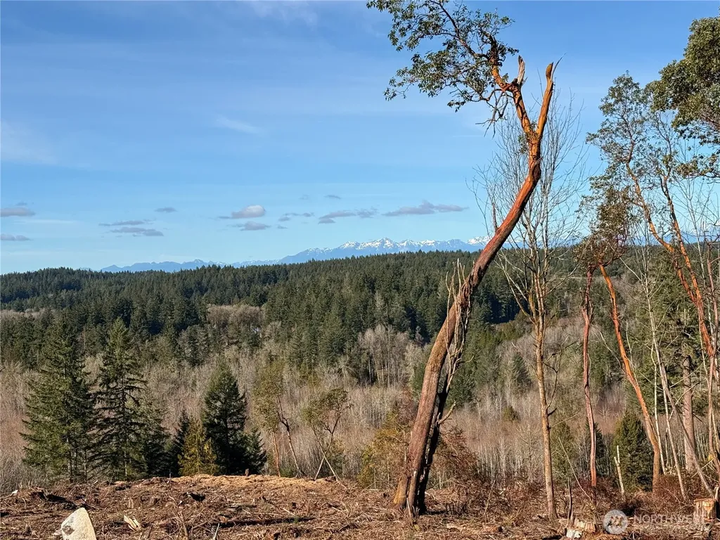 4319 183rd Avenue Ct SW Longbranch WA 98351