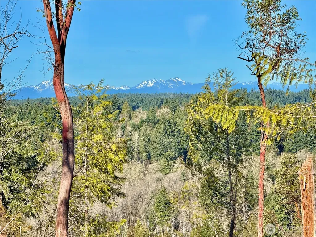 4319 183rd Avenue Ct SW Longbranch WA 98351