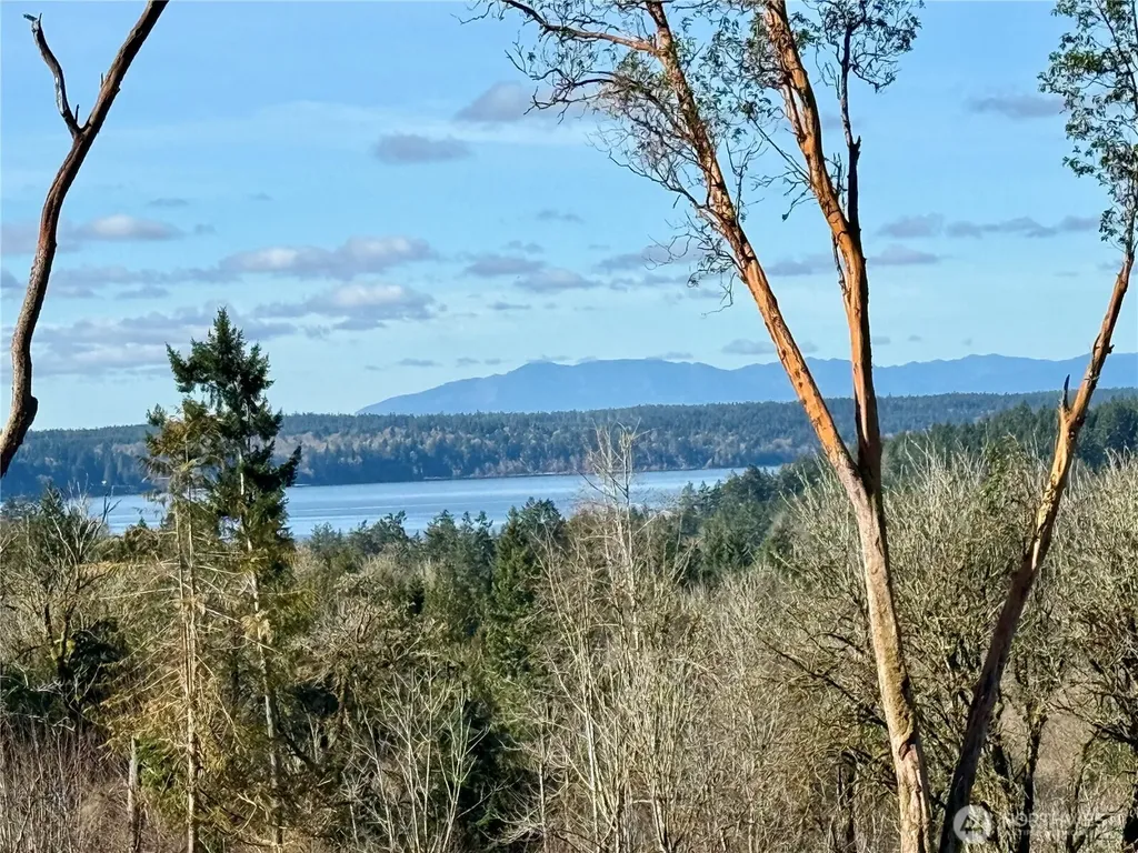 4319 183rd Avenue Ct SW Longbranch WA 98351