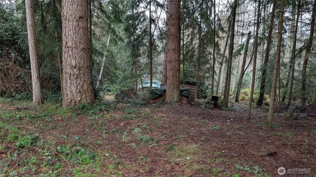 0 Worthy Place Greenbank WA 98253
