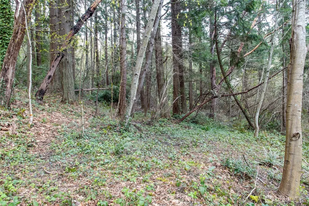 9190 Fox Cove Lane NE Bainbridge Island WA 98110