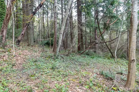 9190 Fox Cove Lane NE Bainbridge Island WA 98110