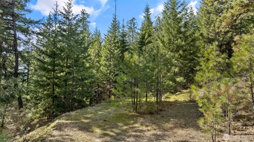 0 R&r Heights Drive Roslyn WA 98941