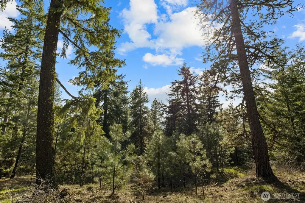 0 R&r Heights Drive Roslyn WA 98941