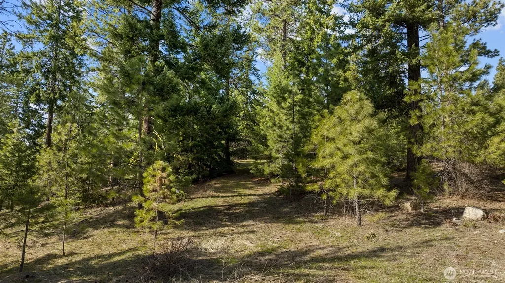0 R&r Heights Drive Roslyn WA 98941