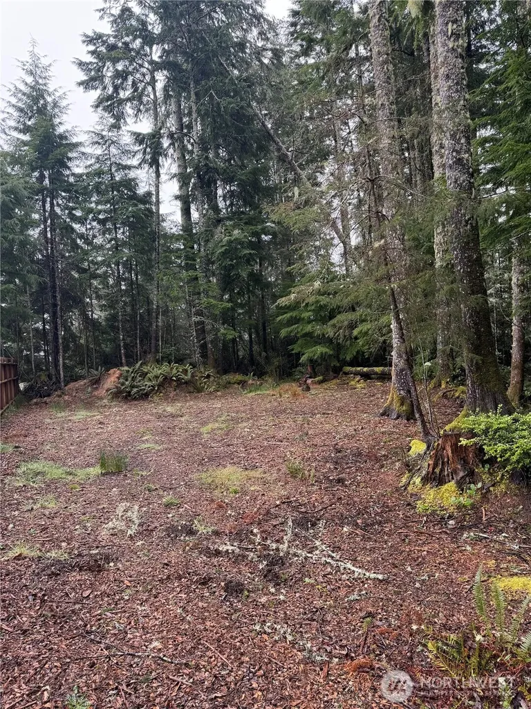 736 Chenois Avenue NE Ocean Shores WA 98569