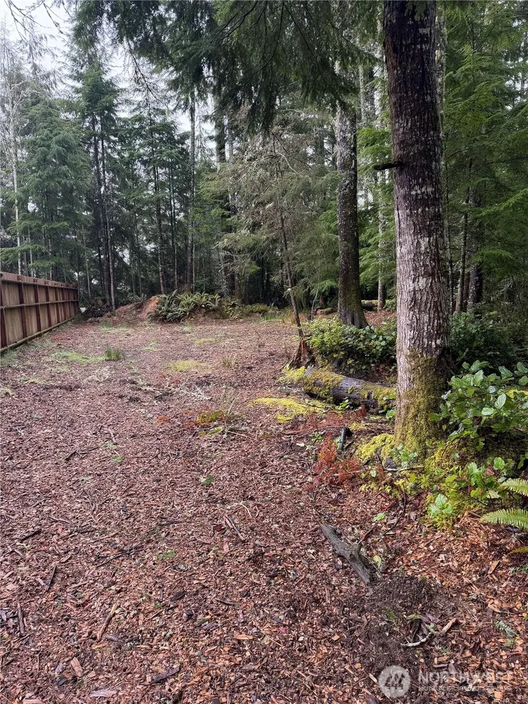 736 Chenois Avenue NE Ocean Shores WA 98569