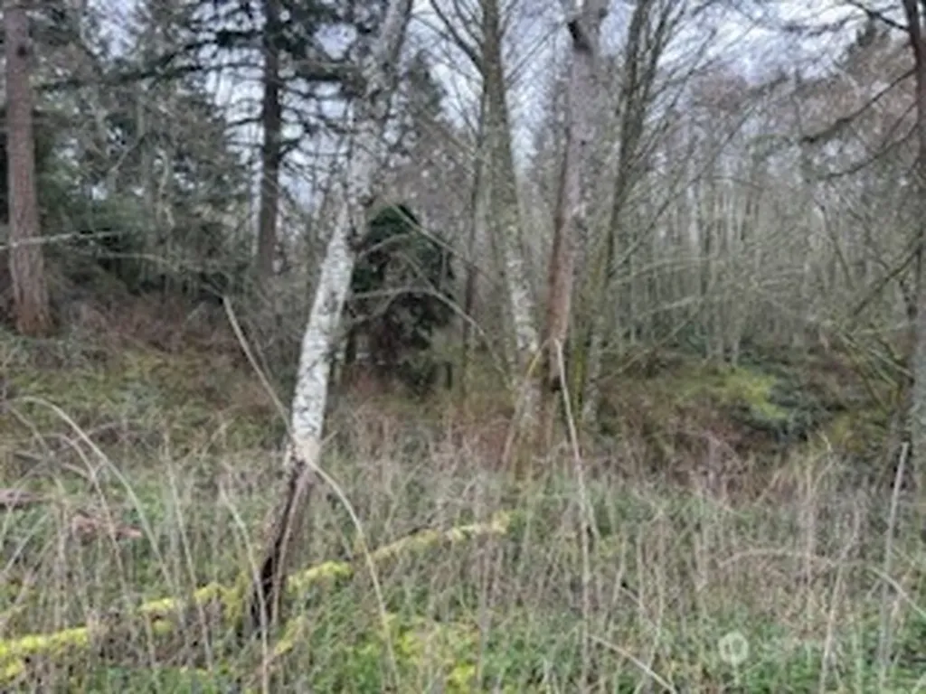 0 Ewing Clinton WA 98236