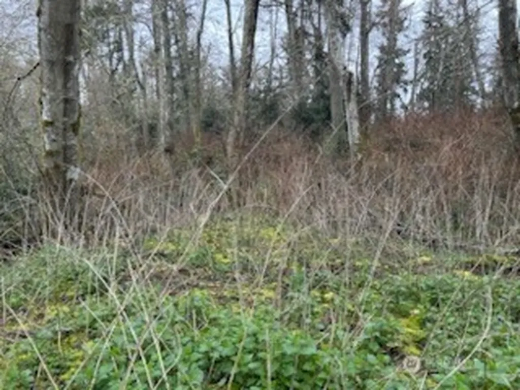 0 Ewing Clinton WA 98236