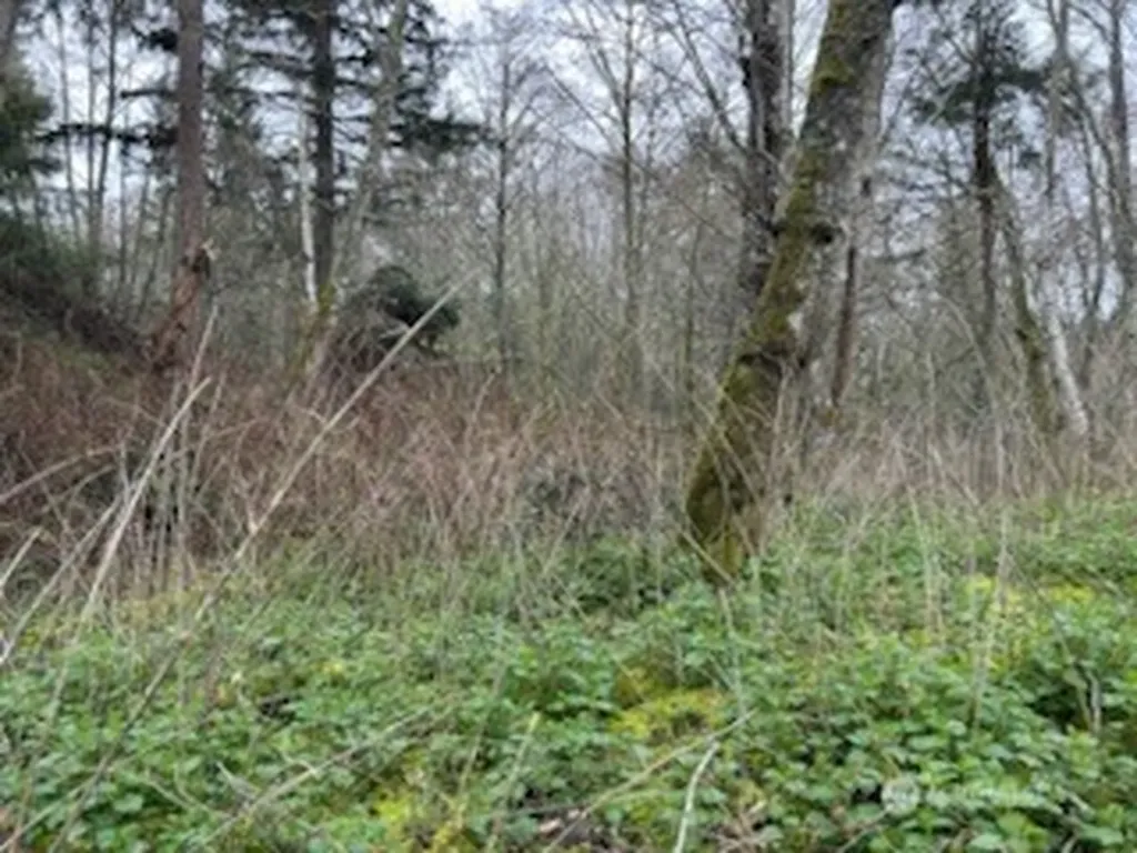 0 Ewing Clinton WA 98236