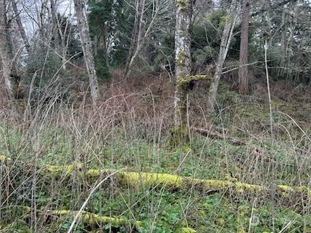 0 Ewing Clinton WA 98236