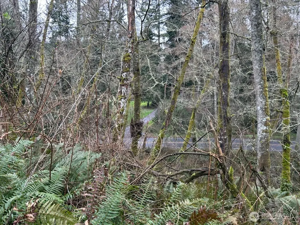 0 Ewing Clinton WA 98236