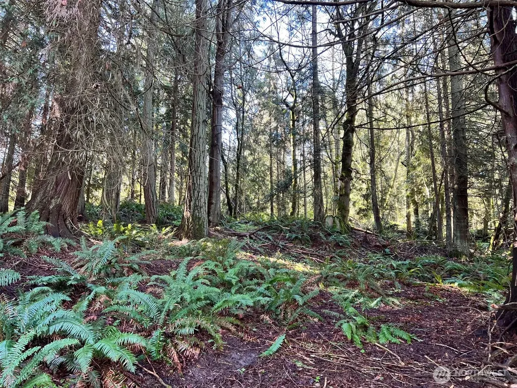 9999 S Sequim Ave Parcel C Sequim WA 98382