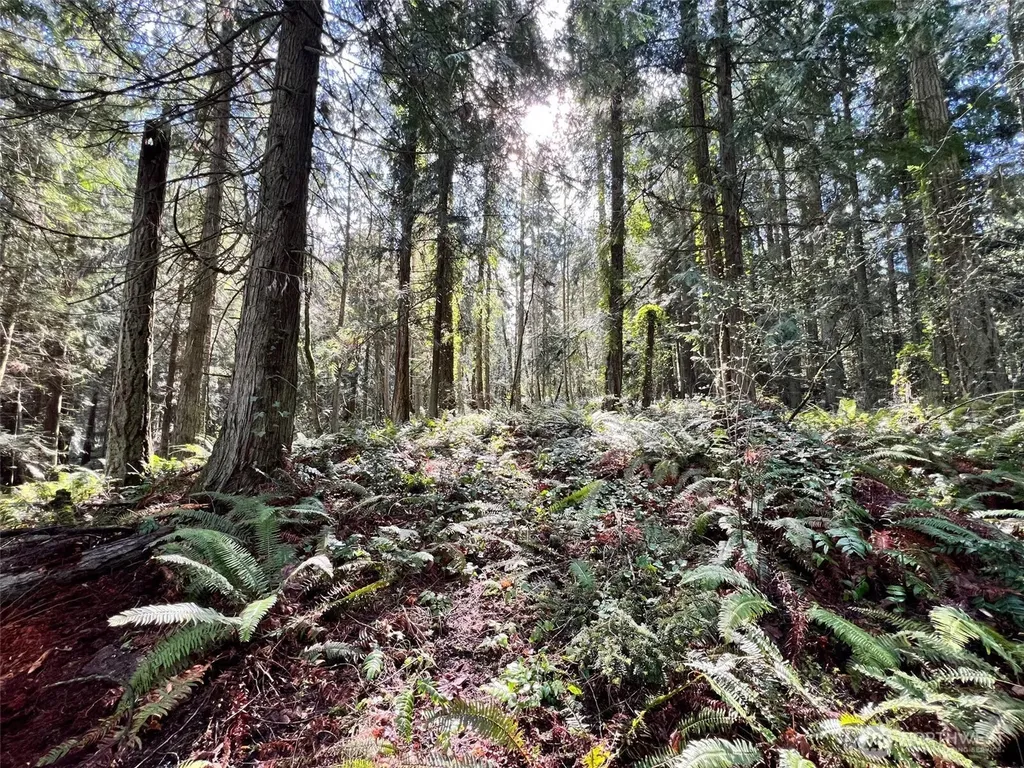9999 S Sequim Ave Parcel C Sequim WA 98382