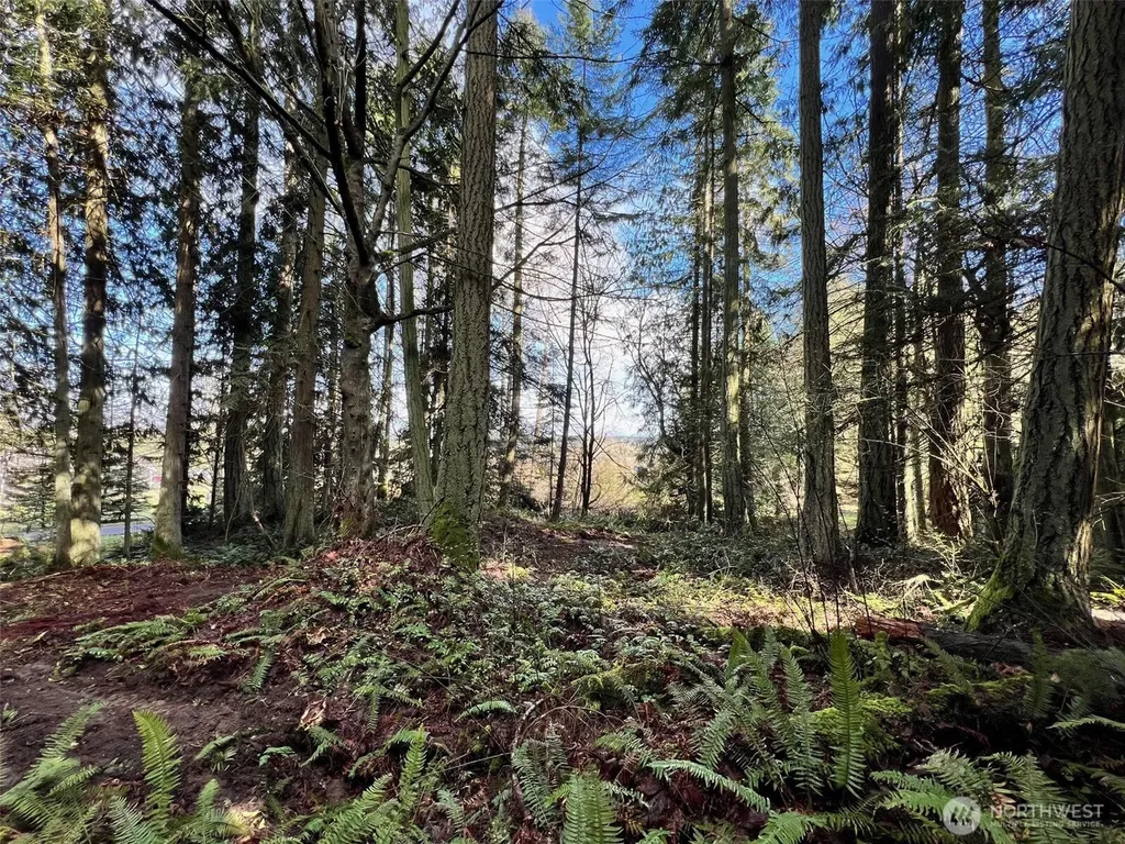 9999 S Sequim Ave Parcel C Sequim WA 98382