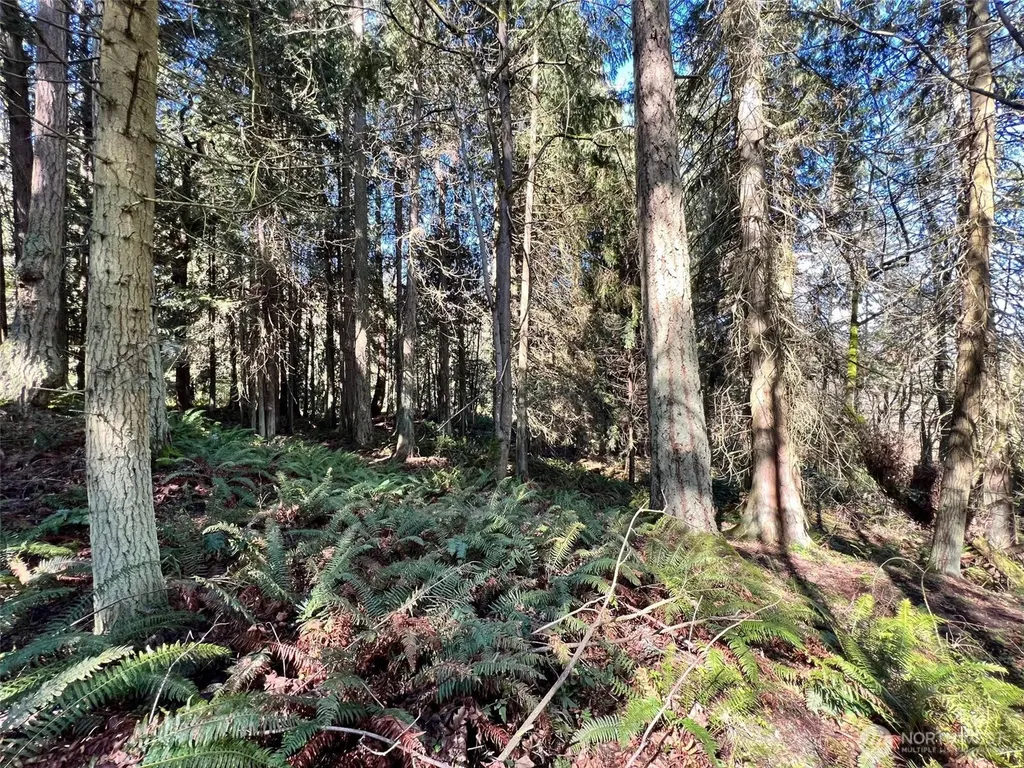 9999 S Sequim Ave Parcel C Sequim WA 98382