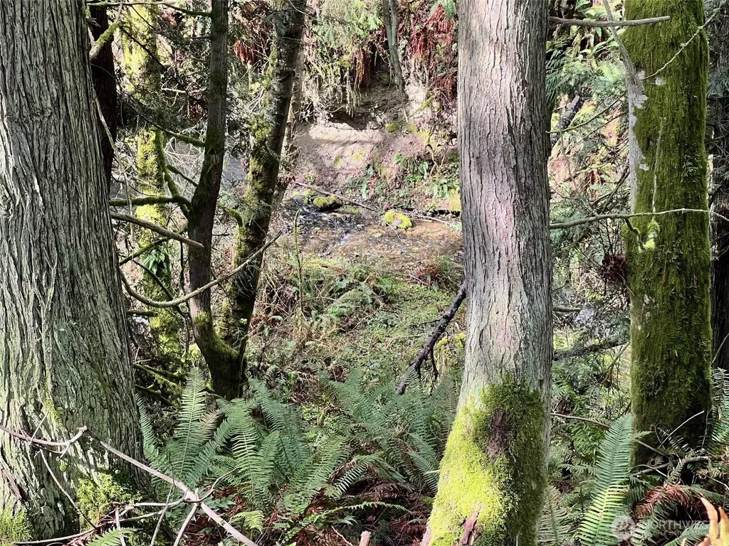 9999 S Sequim Ave Parcel C Sequim WA 98382