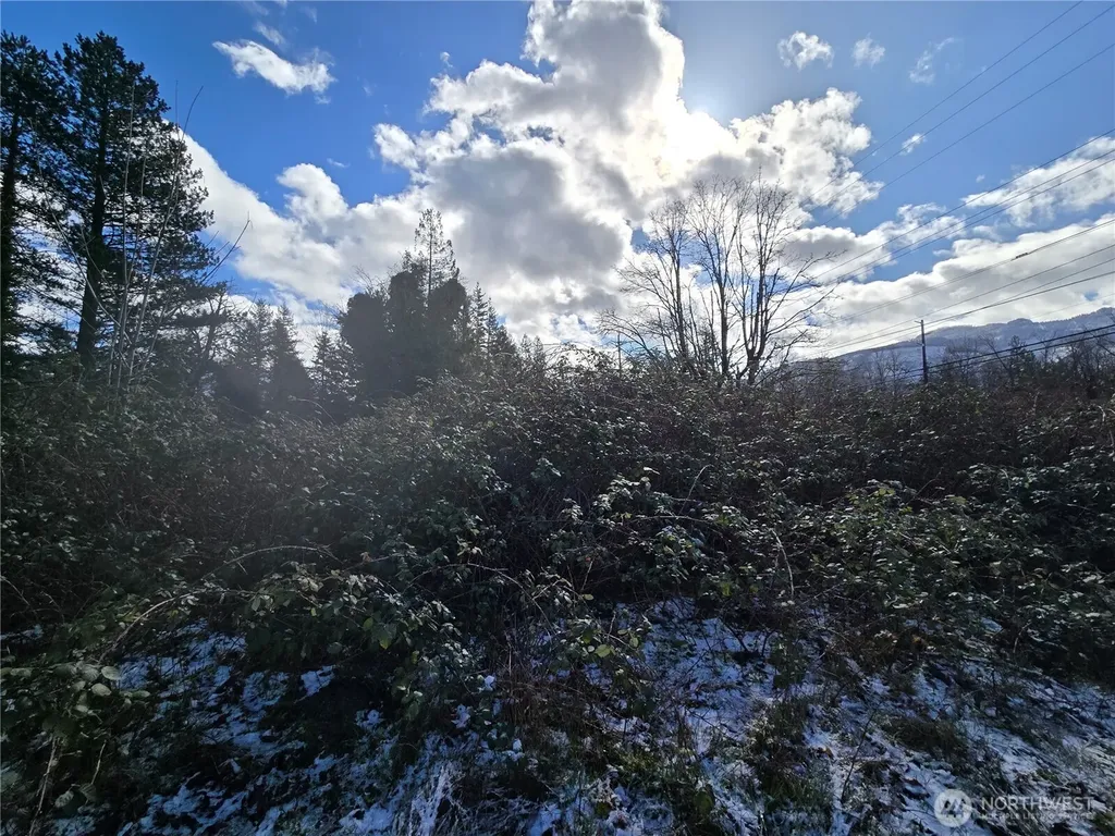 615 Croft Avenue W Gold Bar WA 98251