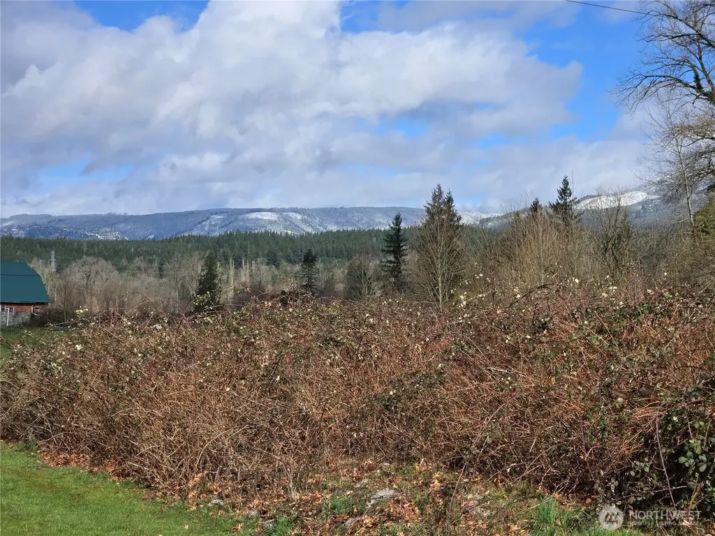 615 Croft Avenue W Gold Bar WA 98251