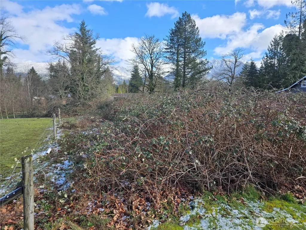 615 Croft Avenue W Gold Bar WA 98251