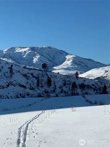 385 Highway 153 Pateros WA 98846