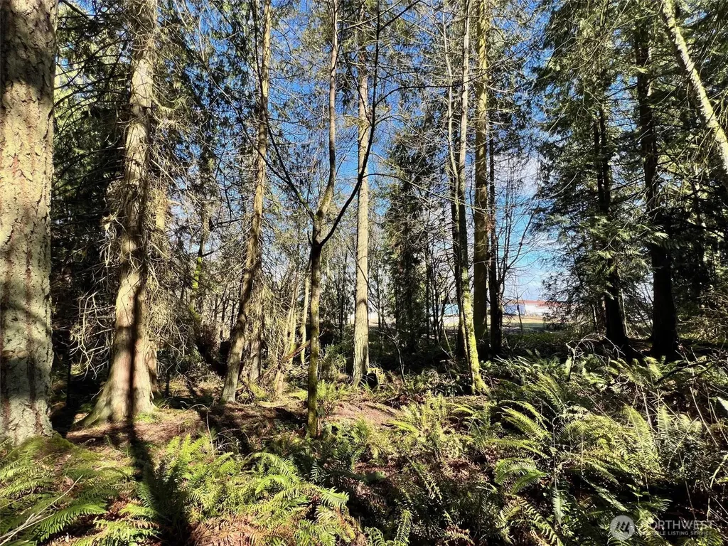 9999 S Sequim Ave Parcel B Sequim WA 98382