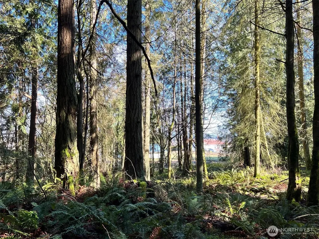 9999 S Sequim Ave Parcel B Sequim WA 98382