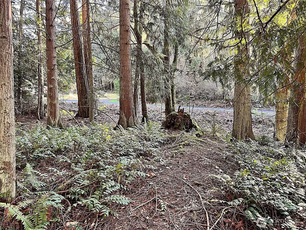 9999 S Sequim Ave Parcel B Sequim WA 98382