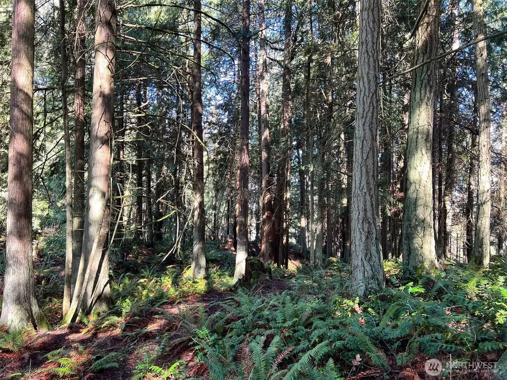 9999 S Sequim Ave Parcel B Sequim WA 98382
