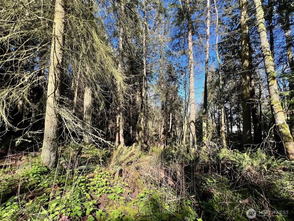 9999 S Sequim Ave Parcel B Sequim WA 98382
