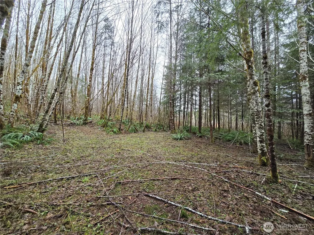 0 W Elk Hill Road Elma WA 98541