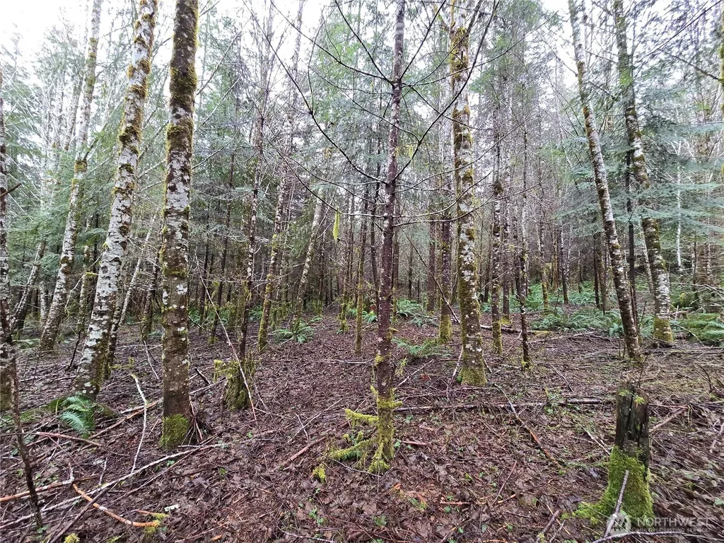 0 W Elk Hill Road Elma WA 98541