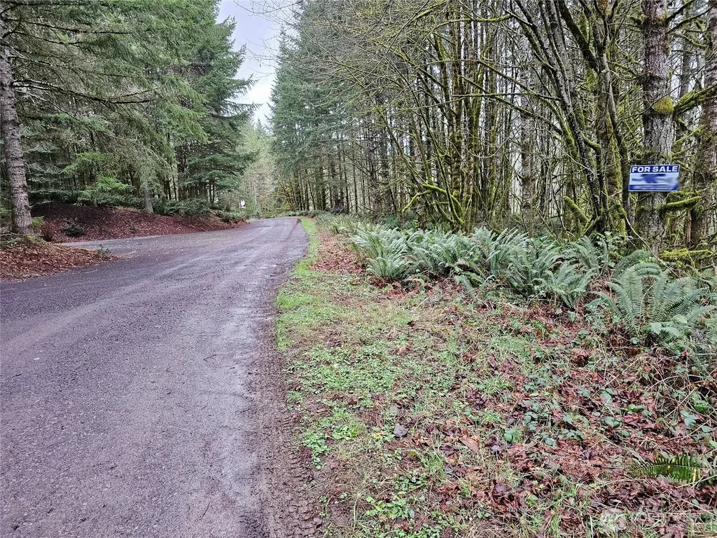 461 Clearwater Road Kelso WA 98626