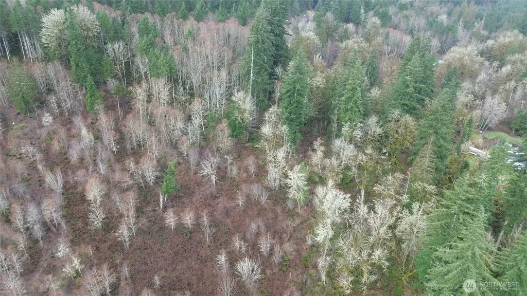 461 Clearwater Road Kelso WA 98626