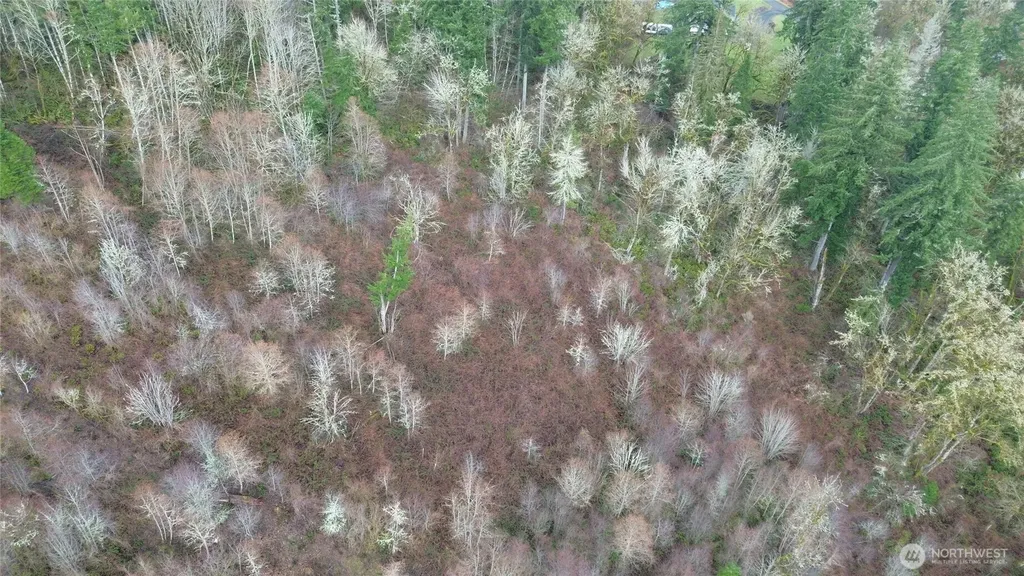461 Clearwater Road Kelso WA 98626