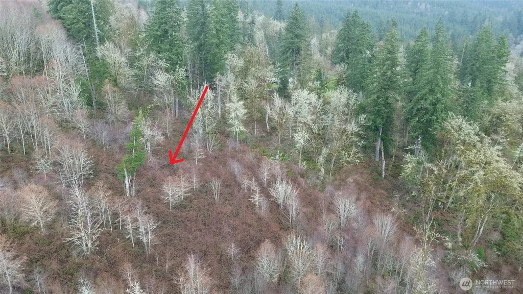 461 Clearwater Road Kelso WA 98626